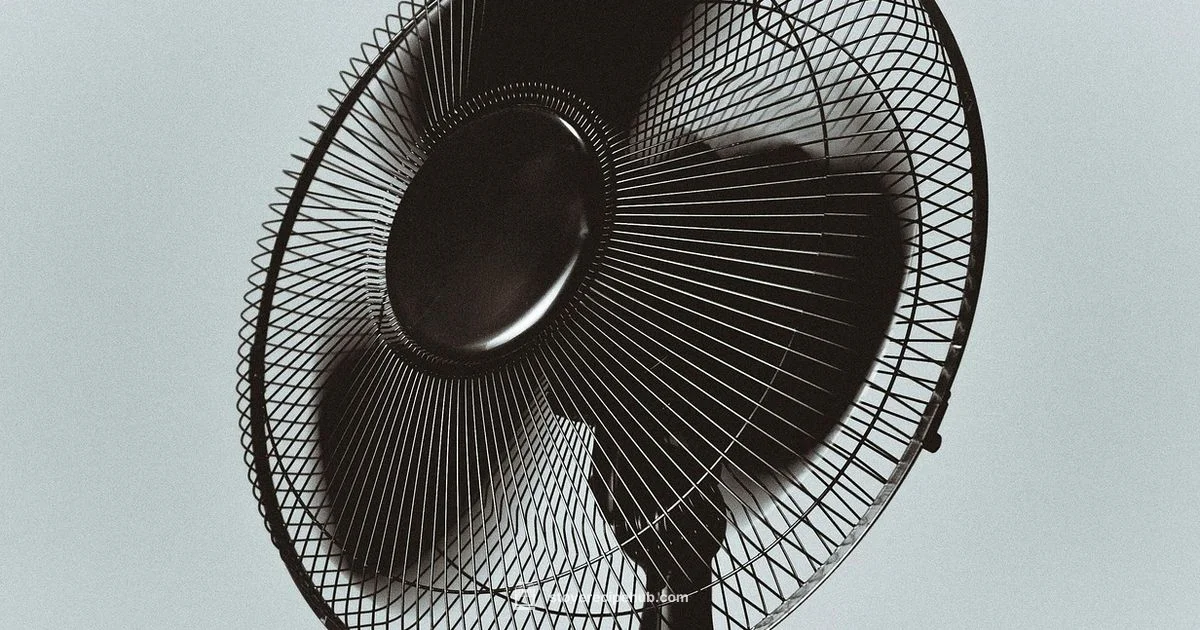 Hood Fan Guide - Stove Recipe Hub