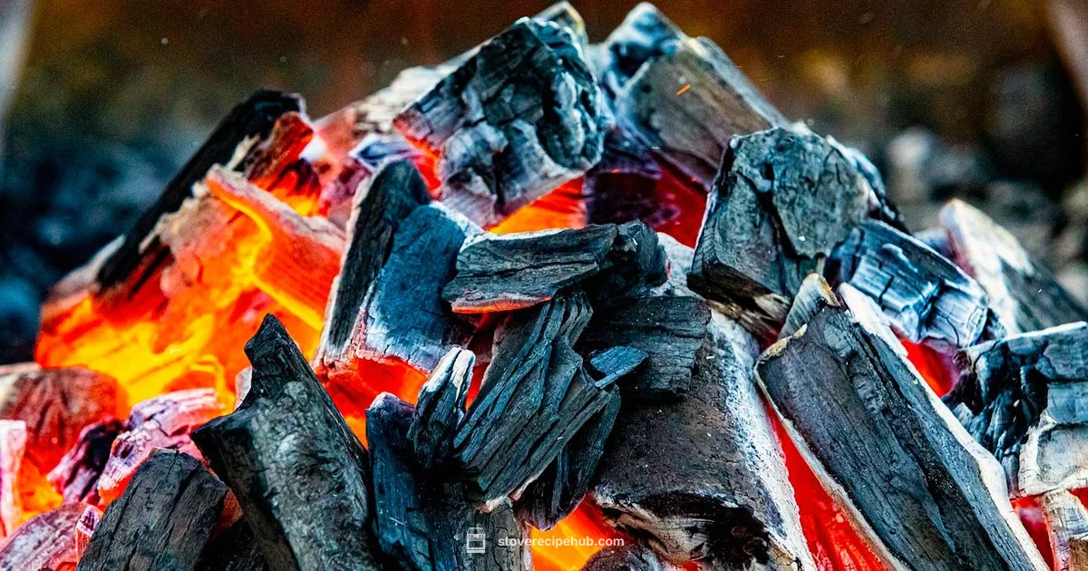 Wood Coal Stove Guide - Stove Recipe Hub