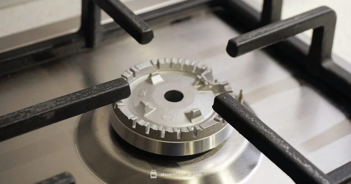 Gas vs Electric - Stove Recipe Hub