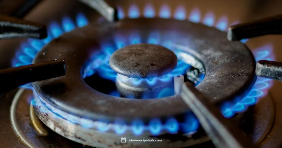 Stove Plate Basics - Stove Recipe Hub