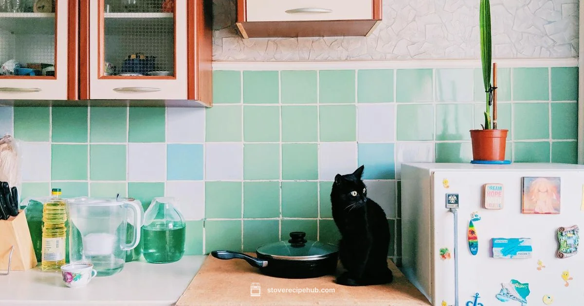 Stove Guard Showdown - Stove Recipe Hub