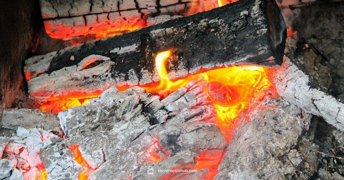 Coal vs Wood Stoves - Stove Recipe Hub