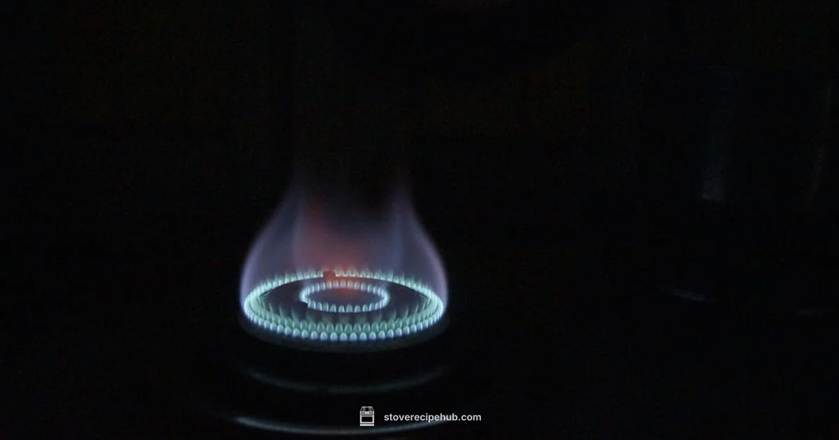 Three Burner Gas Stove - Stove Recipe Hub