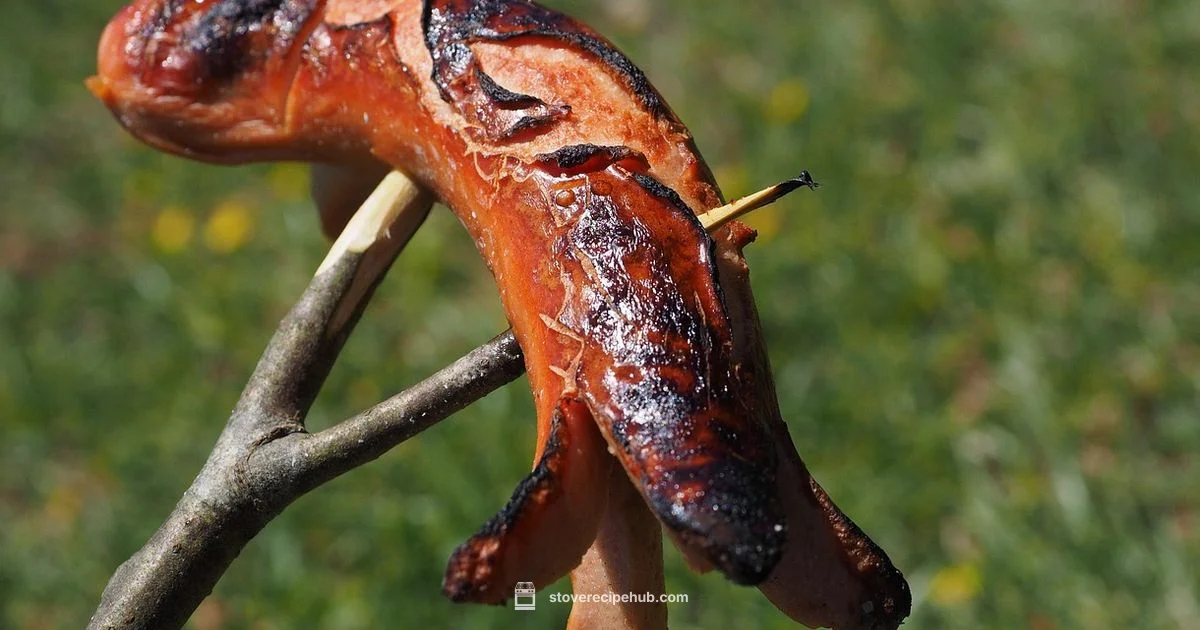 Brats on the Stove - Stove Recipe Hub