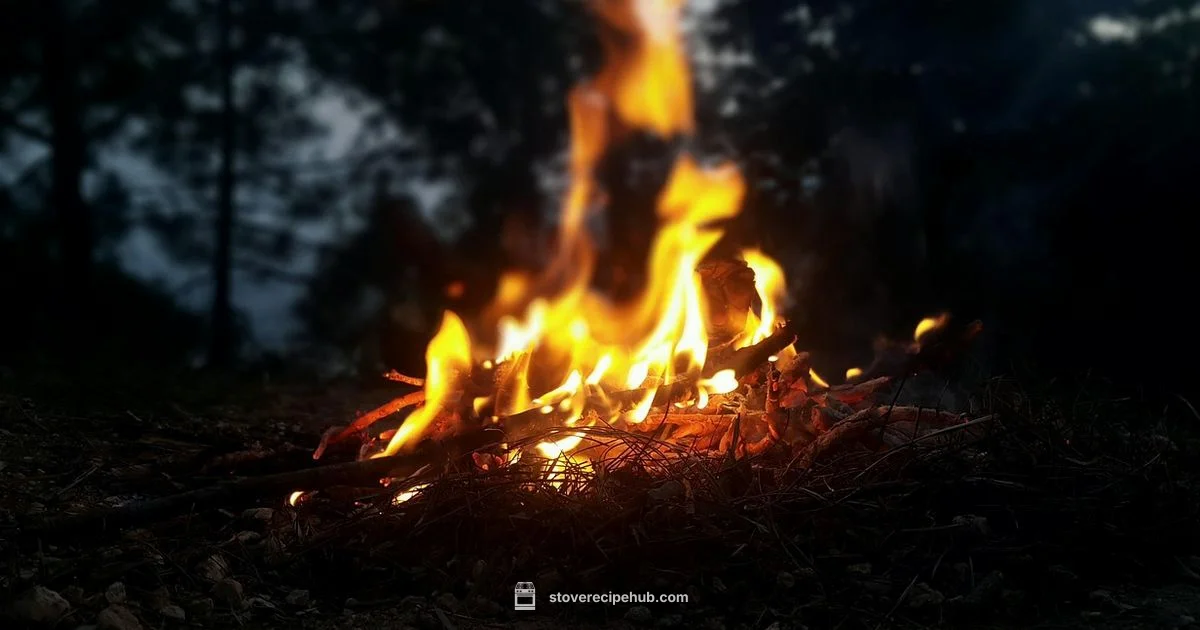 Wood Hot Tub Stove Guide - Stove Recipe Hub