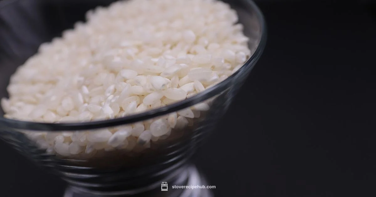 Radiant Stove Guide Radiant Stove Guide - Stove Recipe Hub