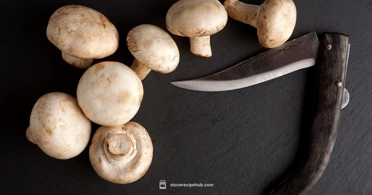 Fancy Stove Essentials - Stove Recipe Hub