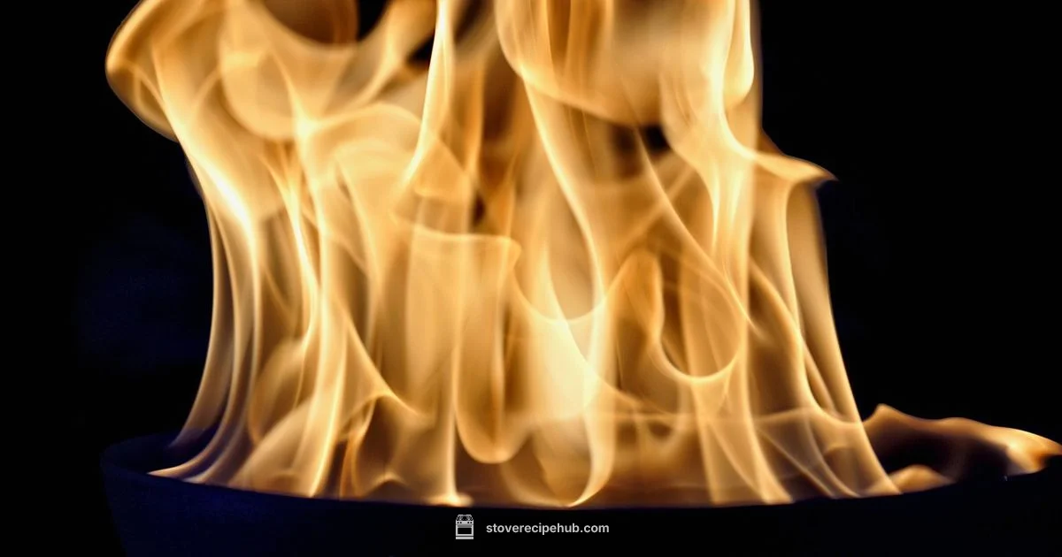 Solo Stove Review Solo Stove Review - Stove Recipe Hub