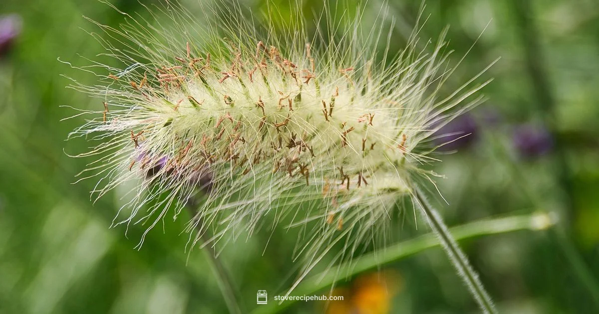 Dishwasher Safe Tops Dishwasher Safe Tops - Stove Recipe Hub