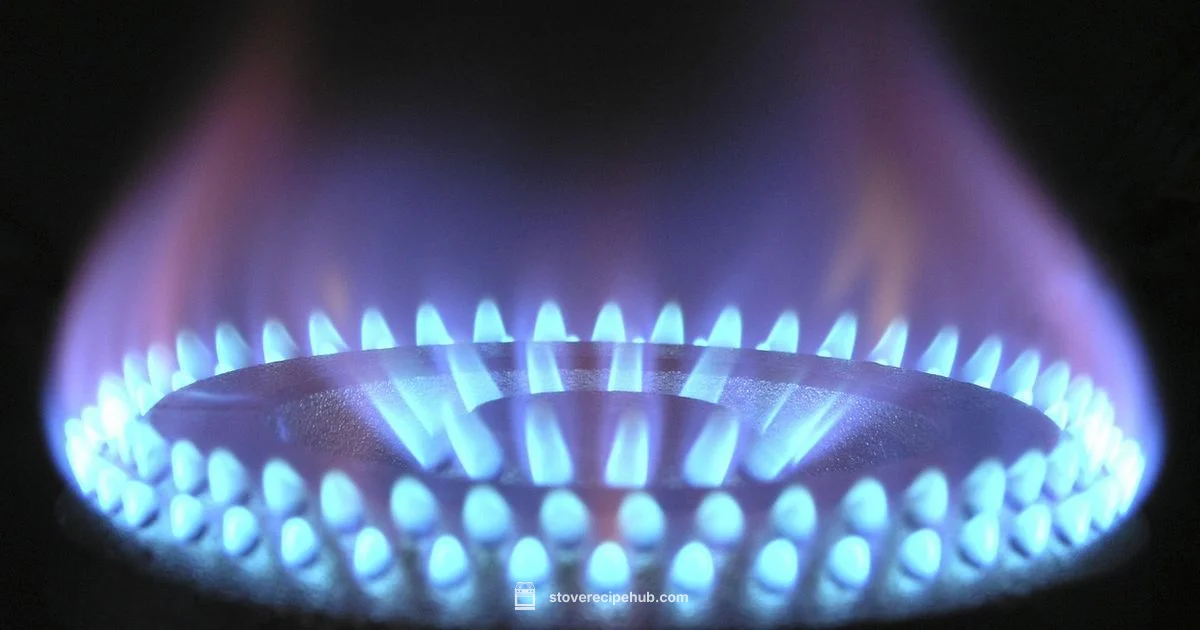 Gas Leak Check Gas Leak Check - Stove Recipe Hub