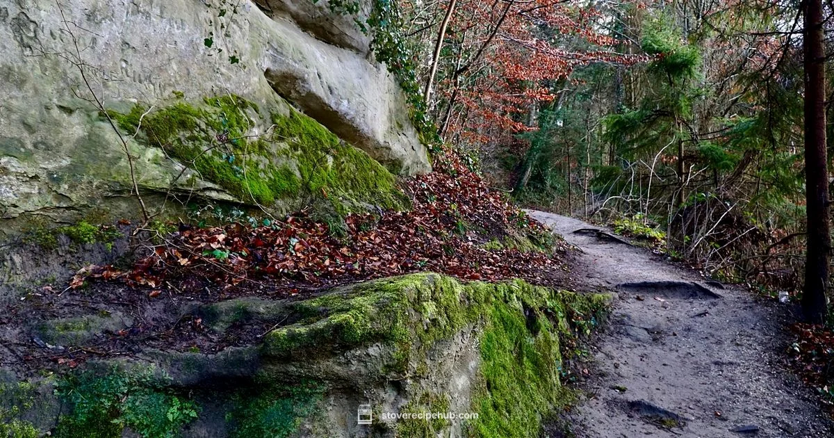 Compact Stove Camping - Stove Recipe Hub