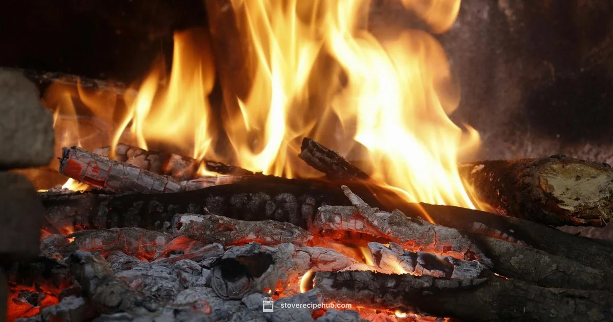 Wood Stove Fan Guide - Stove Recipe Hub