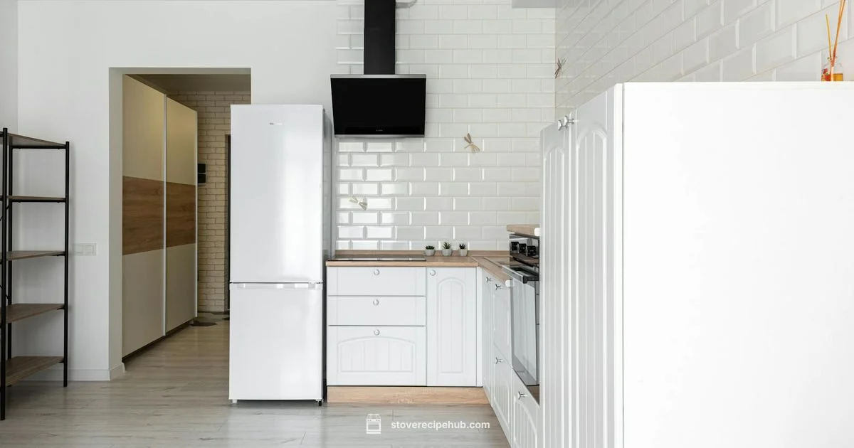 Freestanding Electric Oven - Stove Recipe Hub