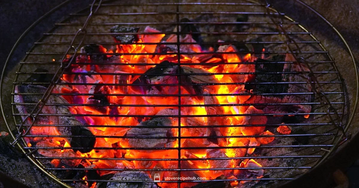 Stove Grilling Guide - Stove Recipe Hub