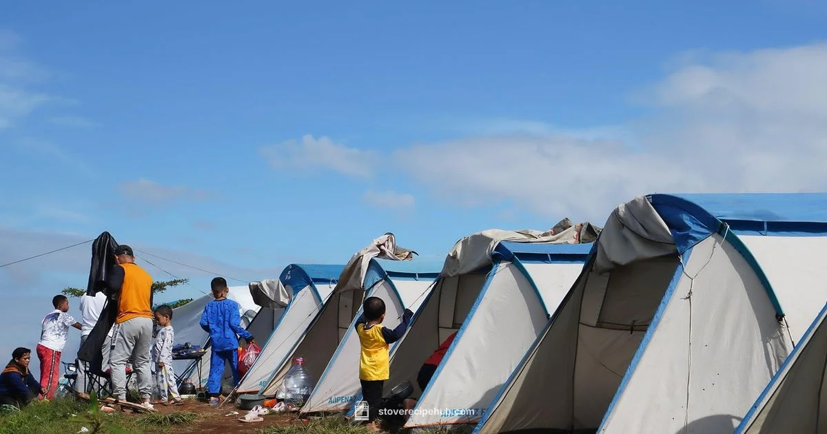 Butane Stove Prices Butane Stove Prices - Stove Recipe Hub