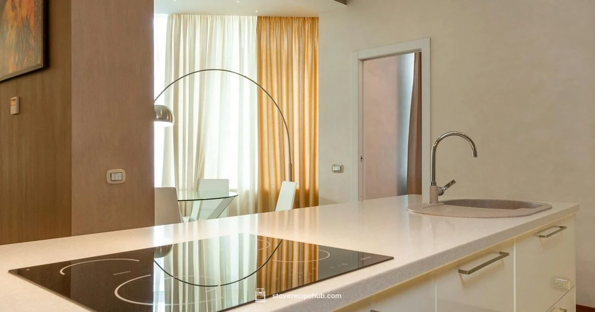 Two Burner Induction - Stove Recipe Hub