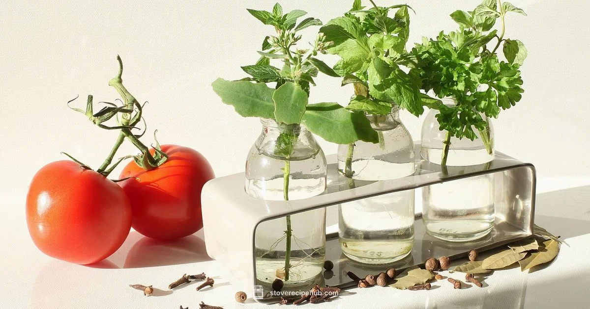 Stove Top Stuffing Upgrades - Stove Recipe Hub