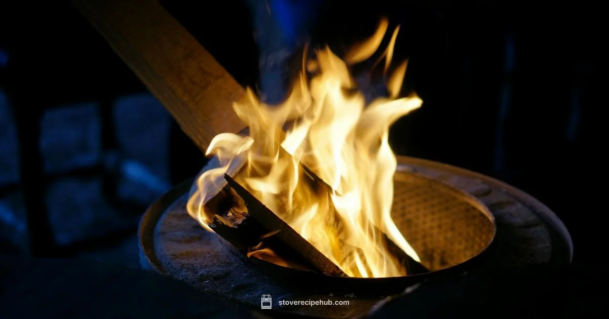 Top Stovetop Fan - Stove Recipe Hub