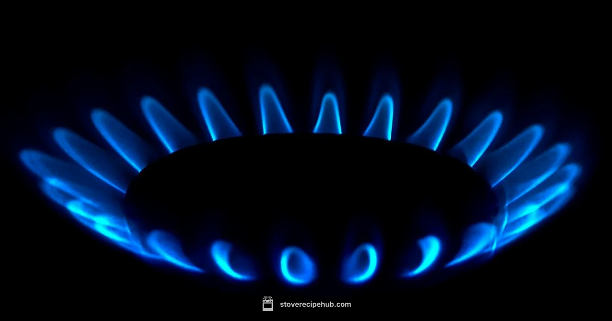 Safe Gas Cooking - Stove Recipe Hub
