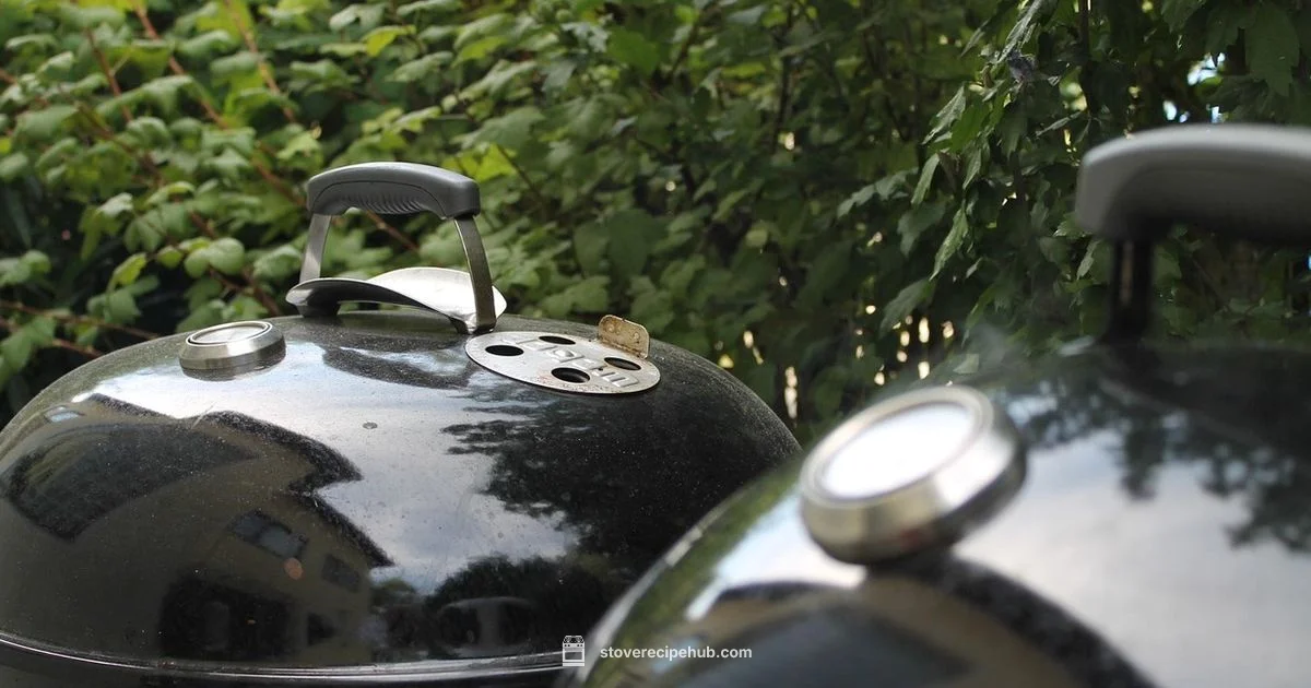 Open Door Grilling - Stove Recipe Hub