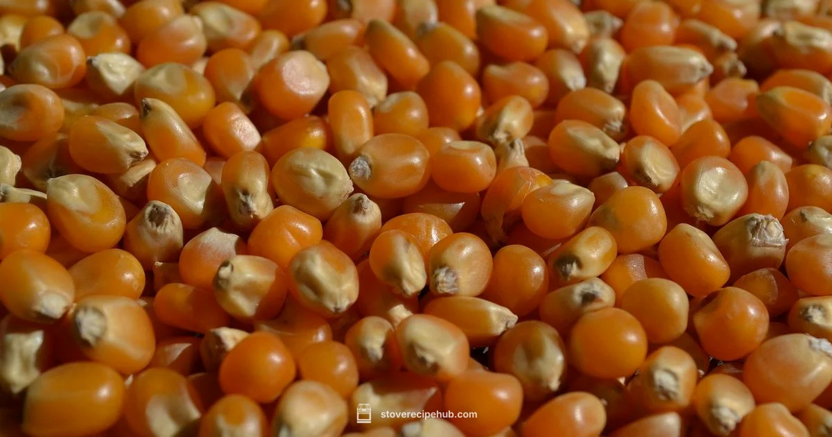 Stove Popcorn Guide - Stove Recipe Hub