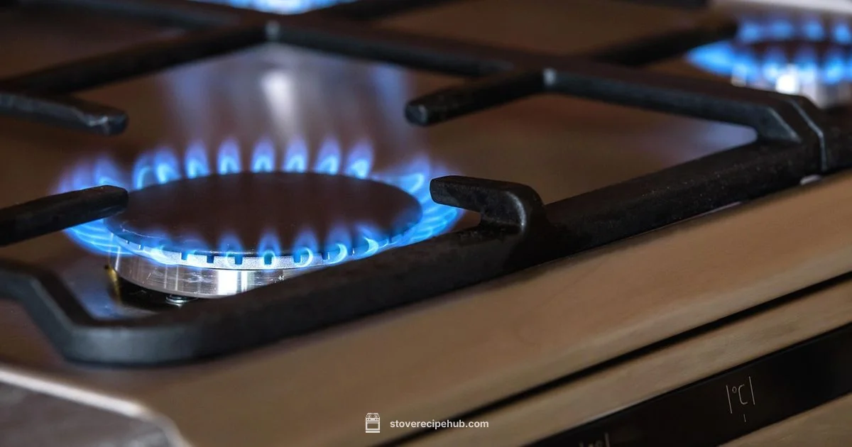 Blue Flame Guide - Stove Recipe Hub