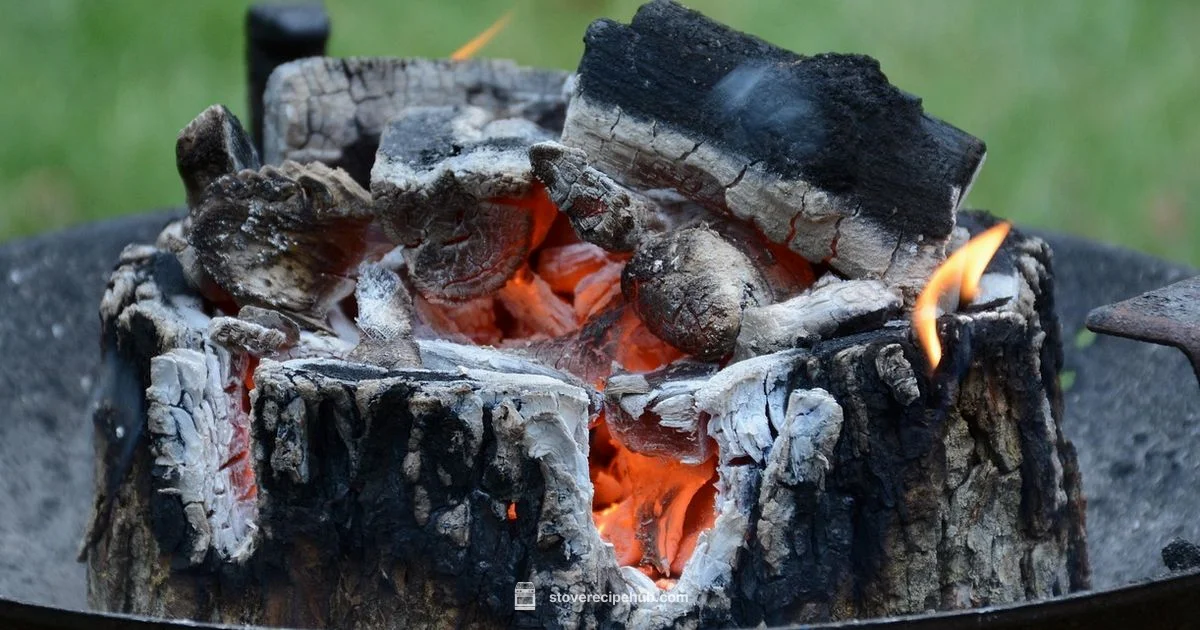 Heat Powered Fan Guide - Stove Recipe Hub