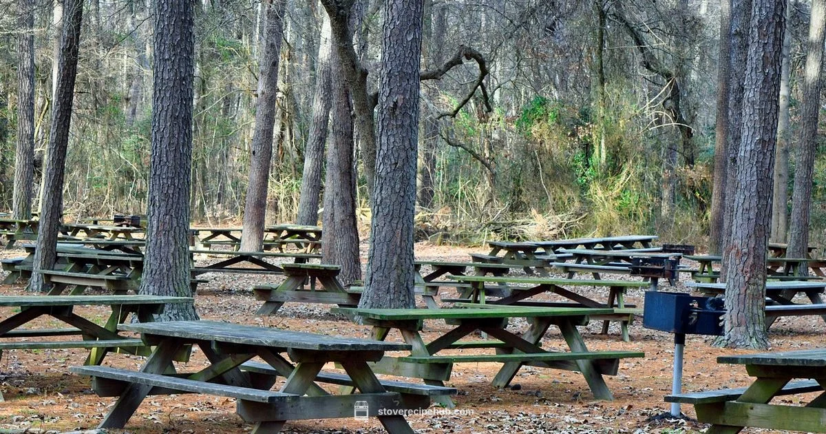 Butane Stove Guide - Stove Recipe Hub