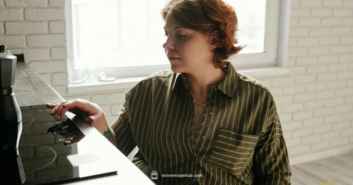 Induction Stove Facts - Stove Recipe Hub