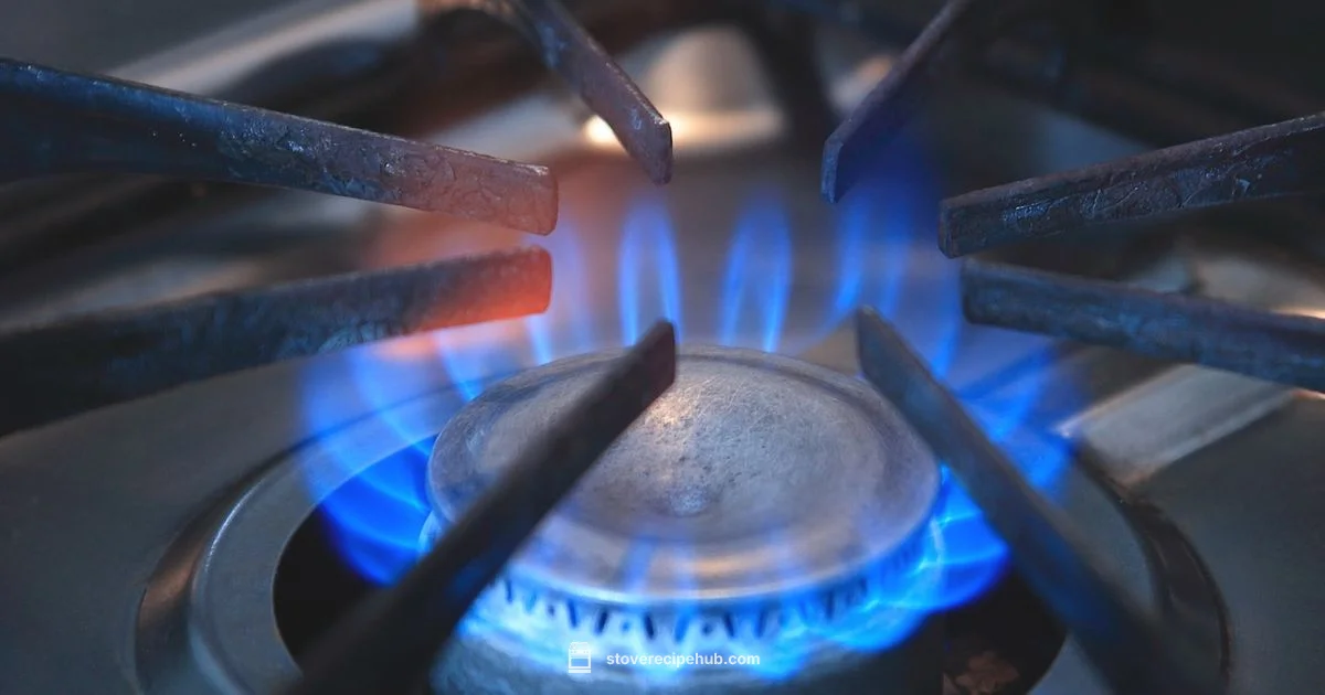 Glass Stove Repair Guide - Stove Recipe Hub