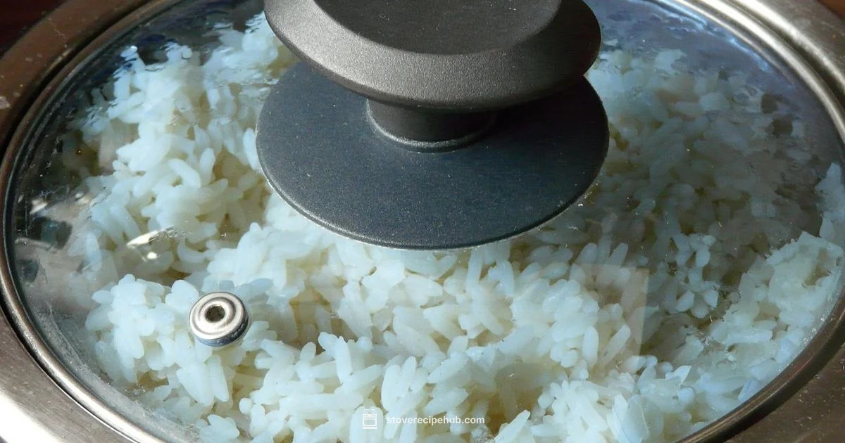 Stove Rice Guide Stove Rice Guide - Stove Recipe Hub