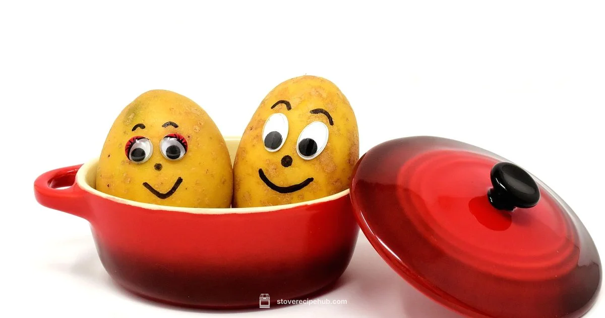 Gas Stoves in Action Gas Stoves in Action - Stove Recipe Hub