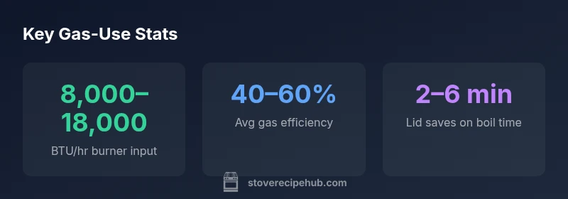 Infographic showing burner input, efficiency, and lid impact