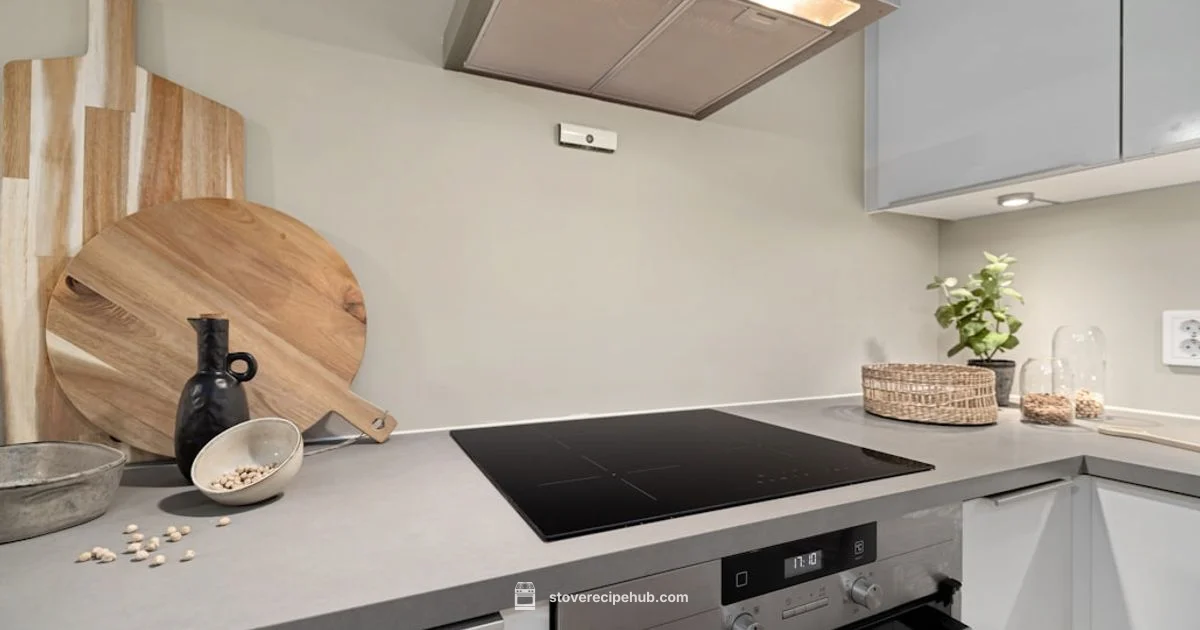 Electric Burner Guide - Stove Recipe Hub