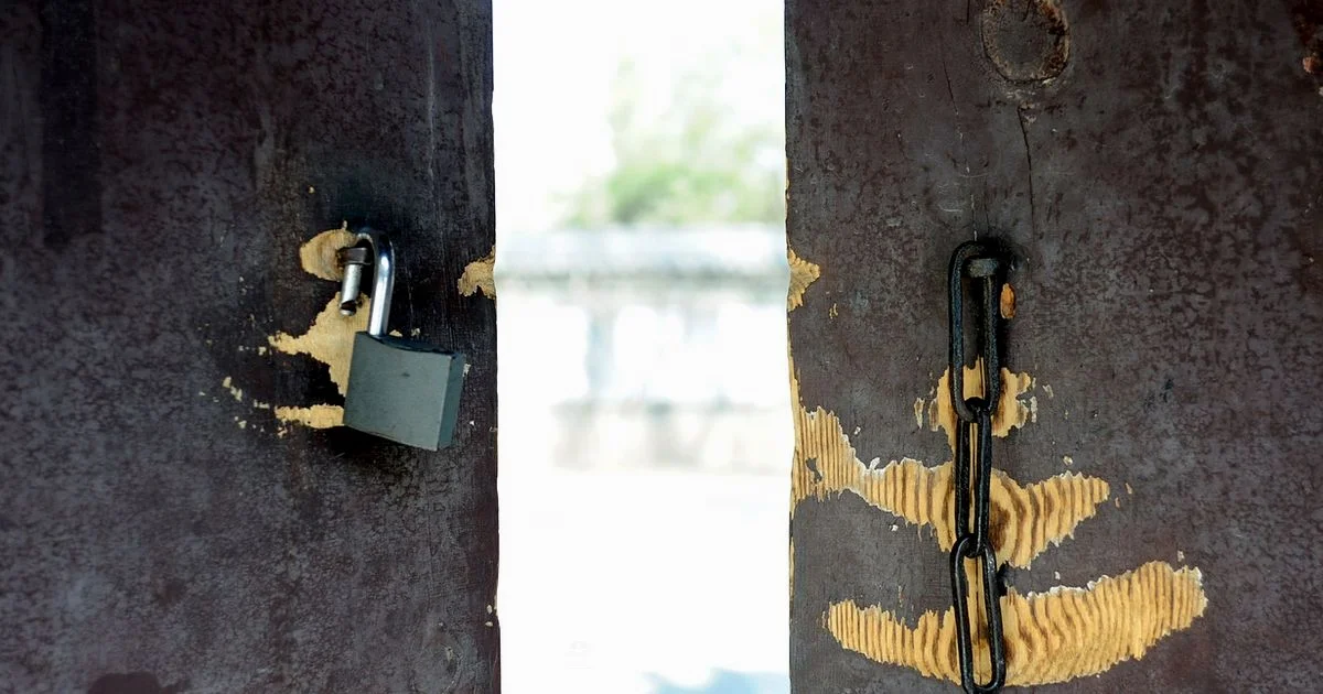 Electric Oven Picks - Stove Recipe Hub