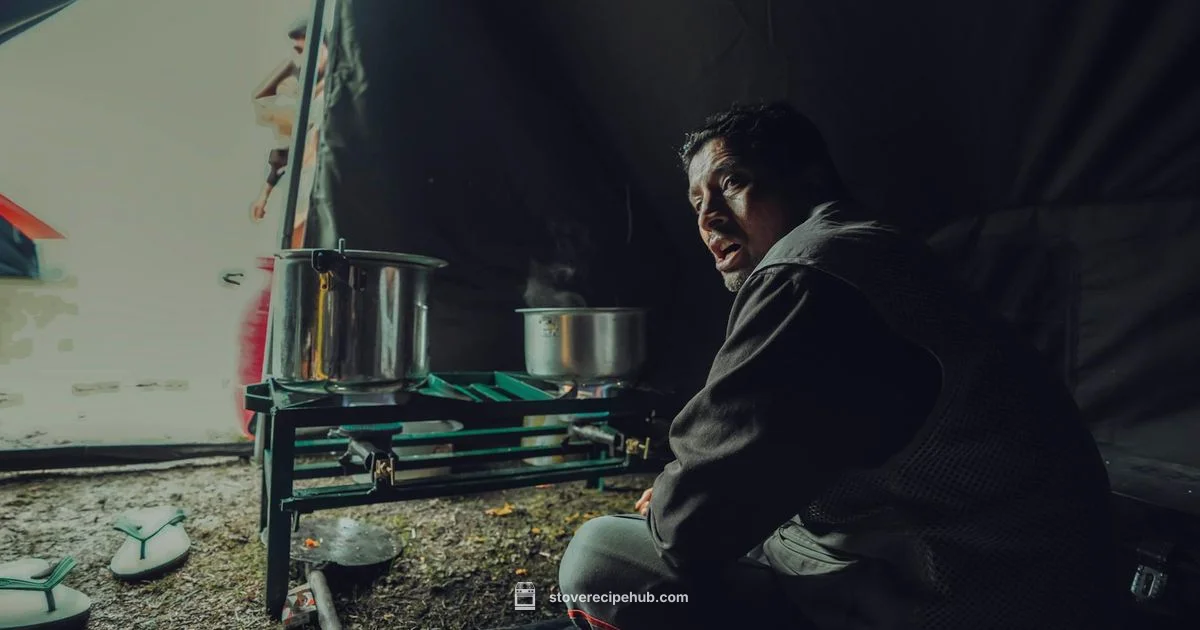 Two Burner Propane Stove - Stove Recipe Hub