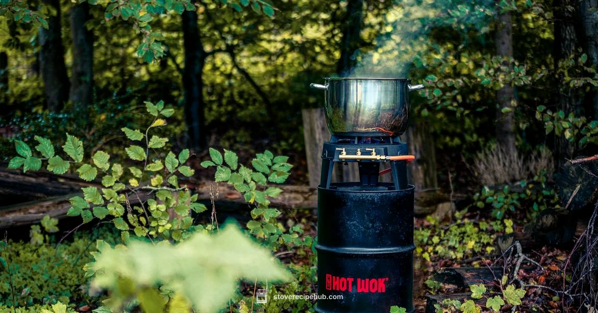 EcoZoom Rocket Stove - Stove Recipe Hub