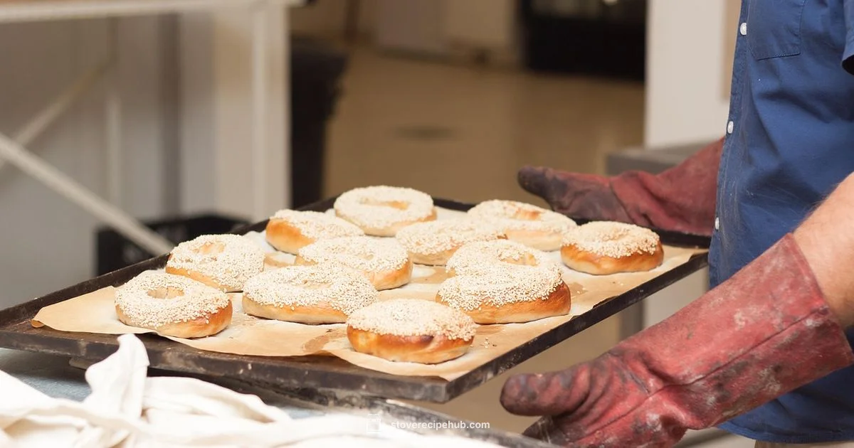 Best Oven for Baking - Stove Recipe Hub