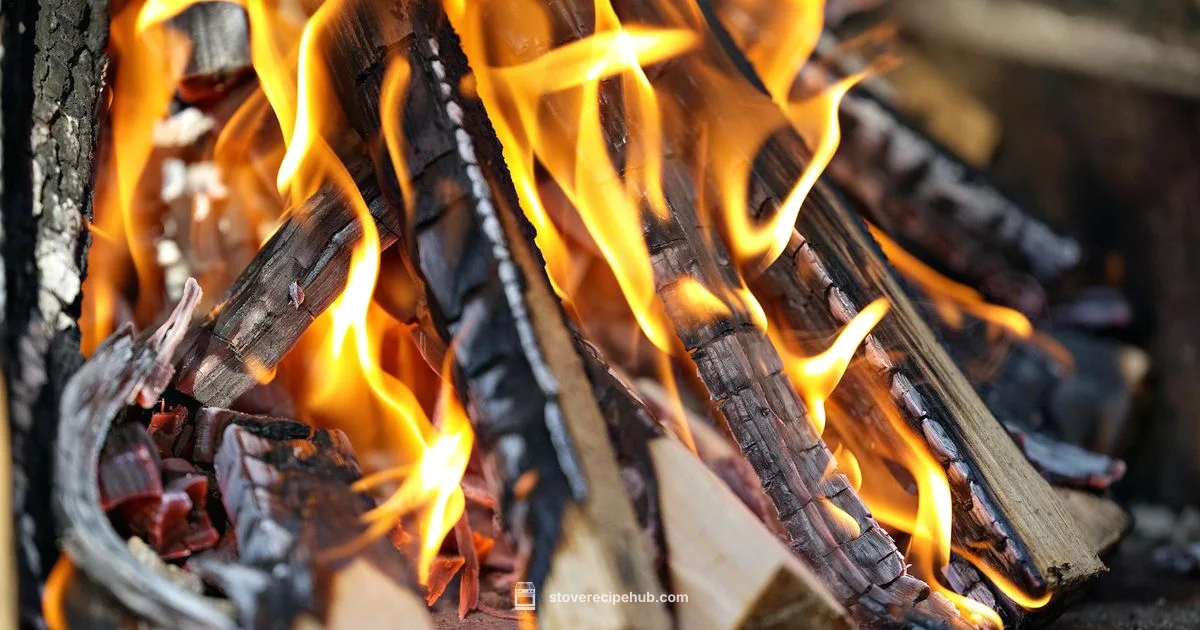 Wood Stove Shop Guide - Stove Recipe Hub
