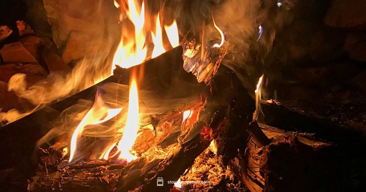 Portable Gas Stove Guide Portable Gas Stove Guide - Stove Recipe Hub