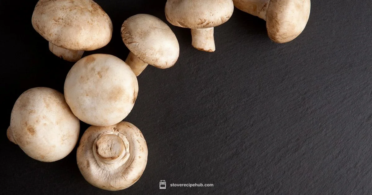 Induction Range Guide - Stove Recipe Hub