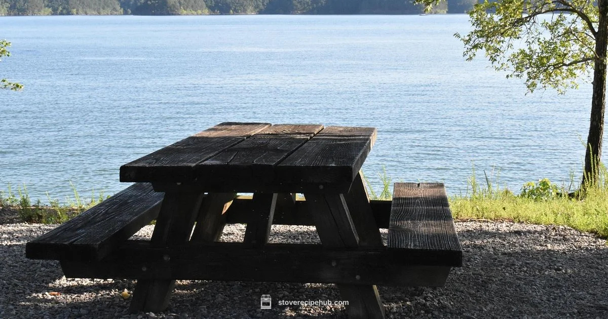 Walmart Camp Stove Guide - Stove Recipe Hub