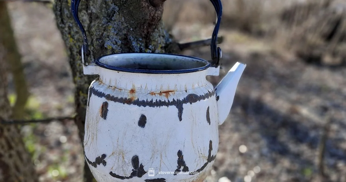 Kettle for Stove Guide - Stove Recipe Hub