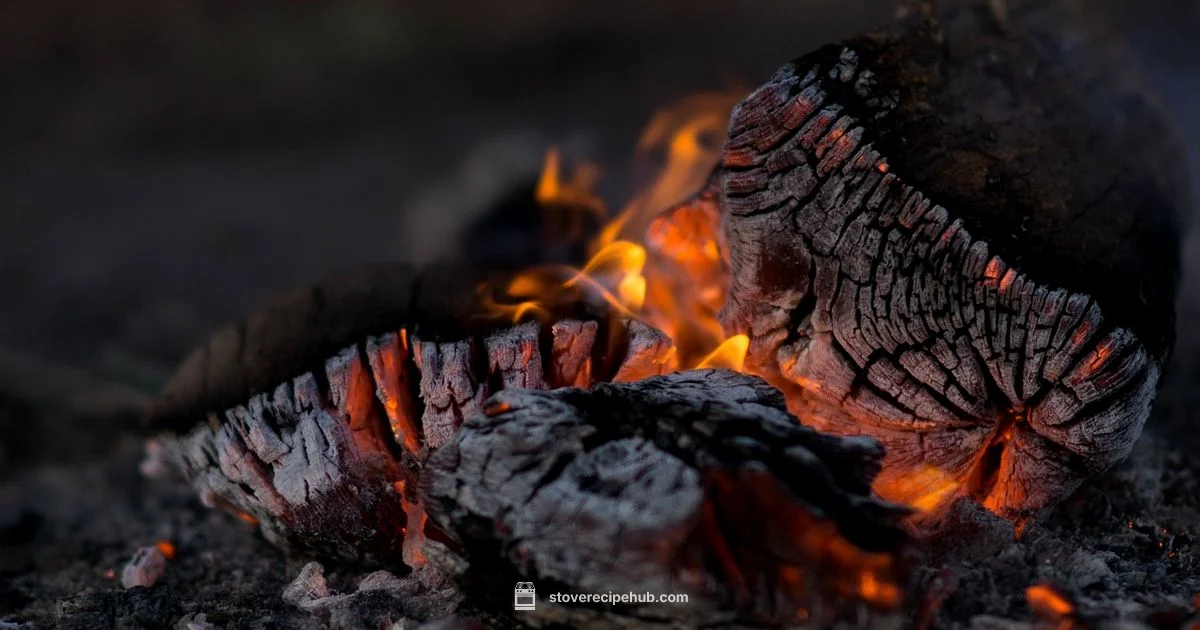 Ash Handling Ash Handling - Stove Recipe Hub