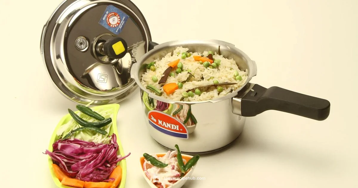 Induction Safe Cooker - Stove Recipe Hub