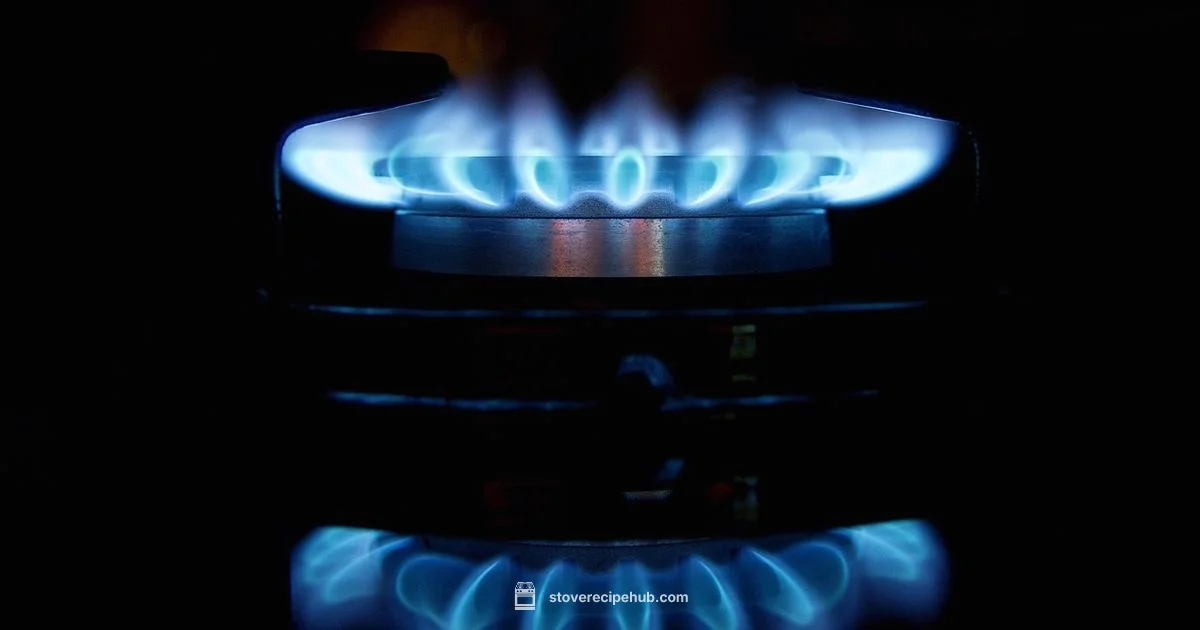 Electric vs Gas - Stove Recipe Hub