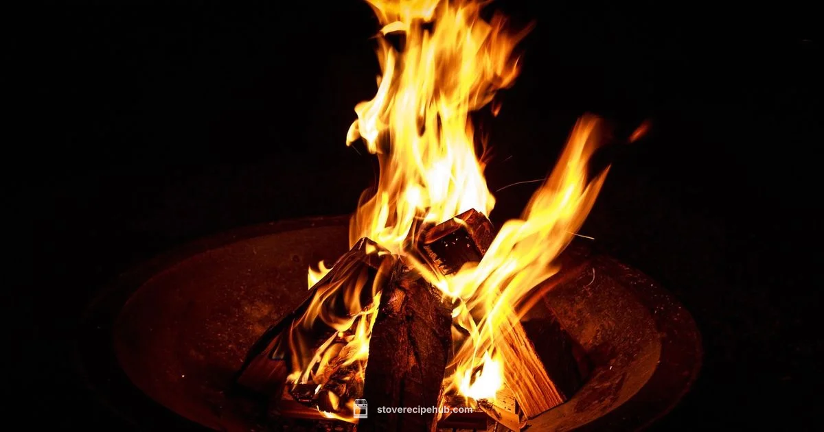 Breeo vs Solo Stove - Stove Recipe Hub