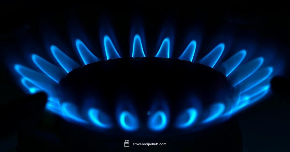 Stove Heat Basics - Stove Recipe Hub