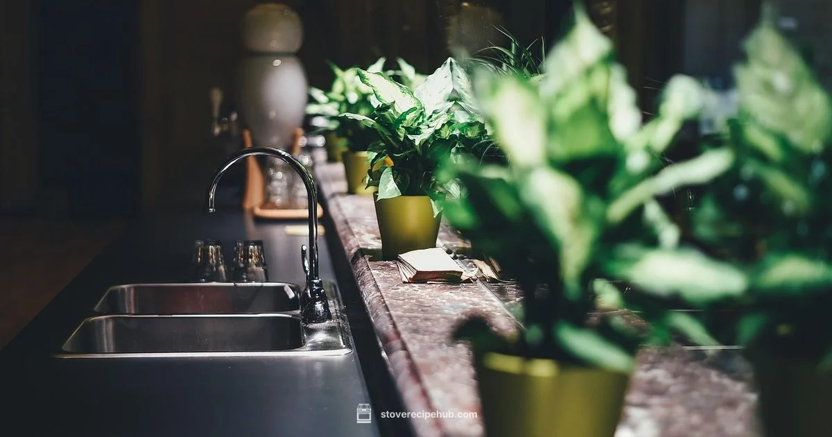 Faucet vs Stove - Stove Recipe Hub