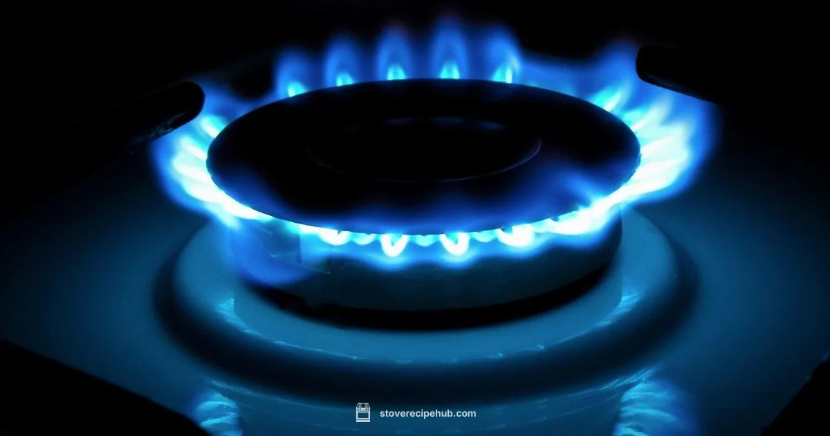 Gas Stoves Guide - Stove Recipe Hub
